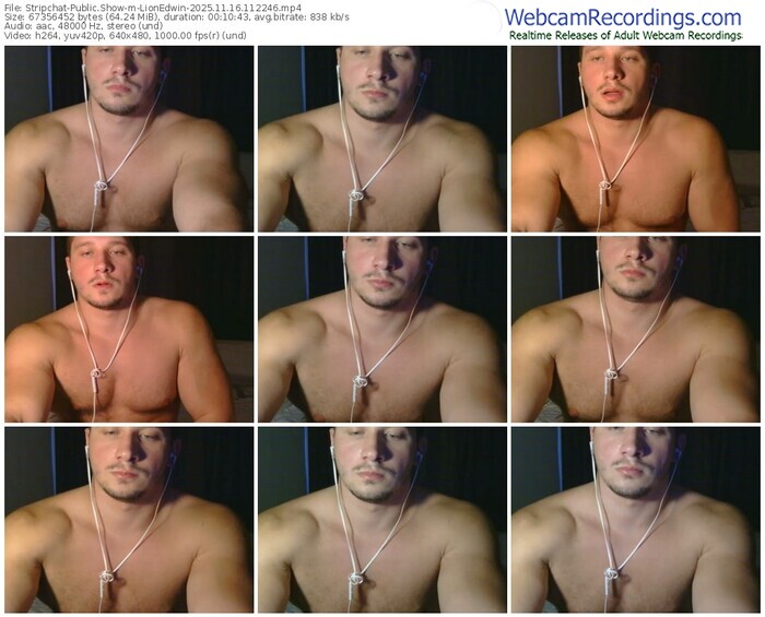 stripchat-lionedwin-11-16-2025-11-22-46
