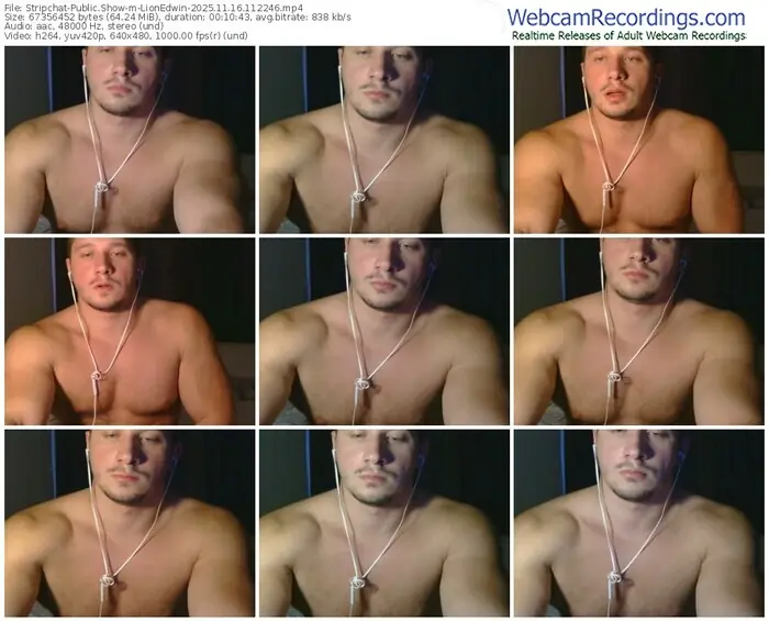 stripchat-lionedwin-11-16-2025-11-22-46