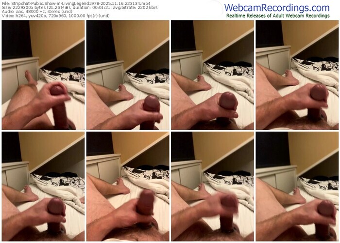 stripchat-livinglegend1978-11-16-2025-22-31-34