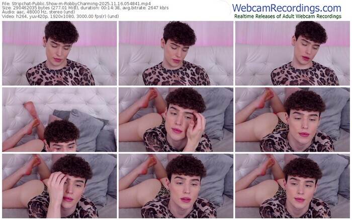 stripchat-robbycharming-11-16-2025-05-48-41