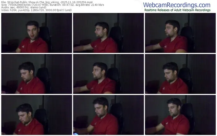 stripchat-the_big_viking_-11-16-2025-23-52-59