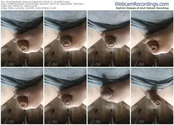 stripchat-tobydick13-11-16-2025-04-38-10