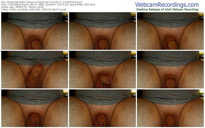 stripchat-tobydick13-11-16-2025-06-03-45