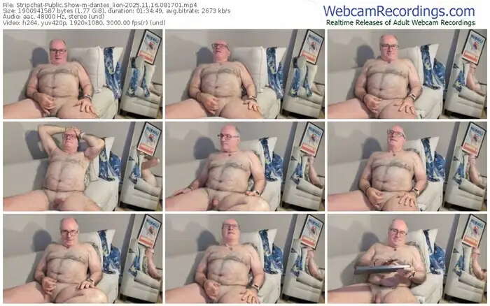 stripchat-dantes_lion-11-16-2025-08-17-01