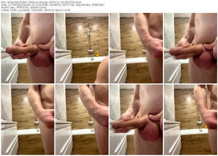 stripchat-knyazi-11-16-2025-06-37-26