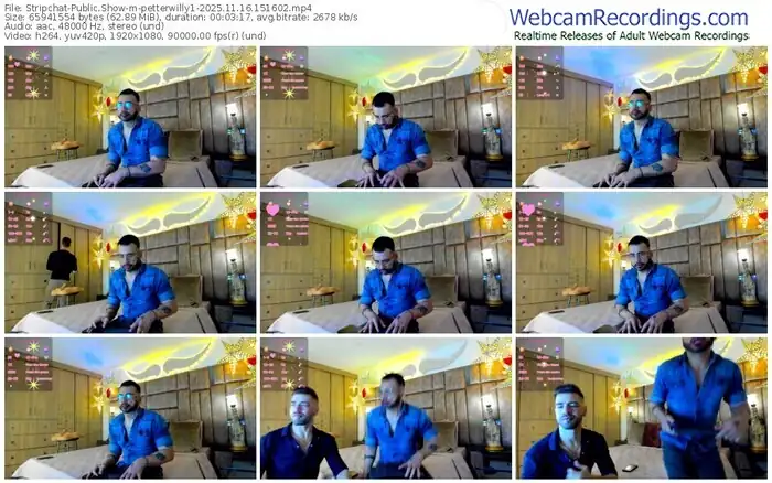 stripchat-petterwilly1-11-16-2025-15-16-02