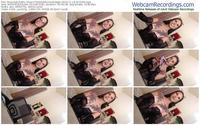 stripchat-thelordofcumsmegan-11-16-2025-01-51-46