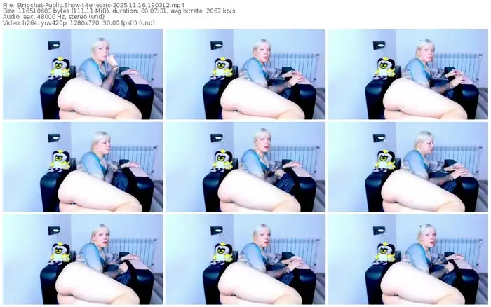 stripchat-tenebris-11-16-2025-19-03-12