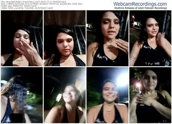 stripchat-alis_1327-11-17-2025-04-42-28