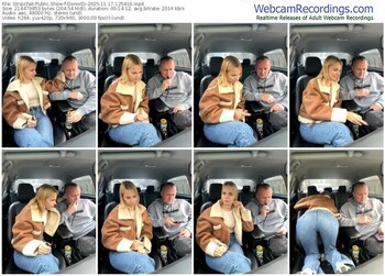 stripchat-donordi-11-17-2025-12-54-16