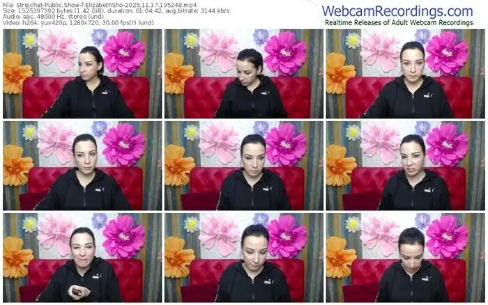 stripchat-elizabethsho-11-17-2025-19-52-48