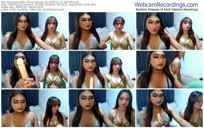 stripchat-elysia_fox-11-17-2025-02-55-39
