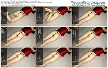 stripchat-foxlina-11-17-2025-23-20-32