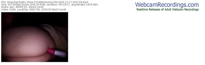 stripchat-hiddenhoneyldn-11-17-2025-00-07-29