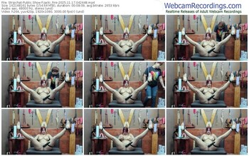 stripchat-jacki_fire-11-17-2025-04-24-48