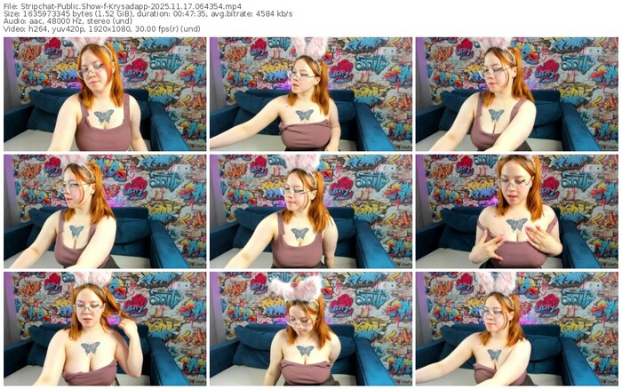 stripchat-krysadapp-11-17-2025-06-43-54