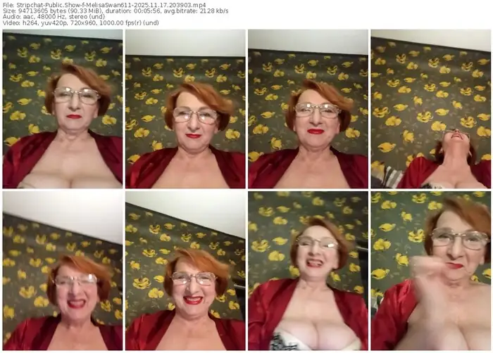stripchat-melisaswan611-11-17-2025-20-39-03