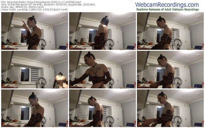 stripchat-moonagnes-11-17-2025-16-35-00