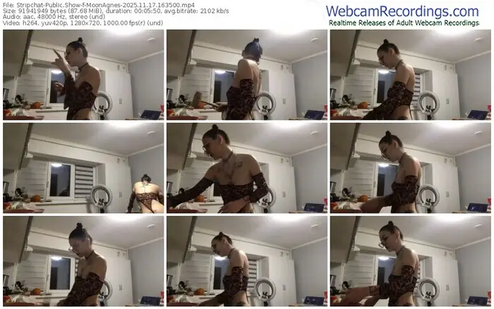 stripchat-moonagnes-11-17-2025-16-35-00