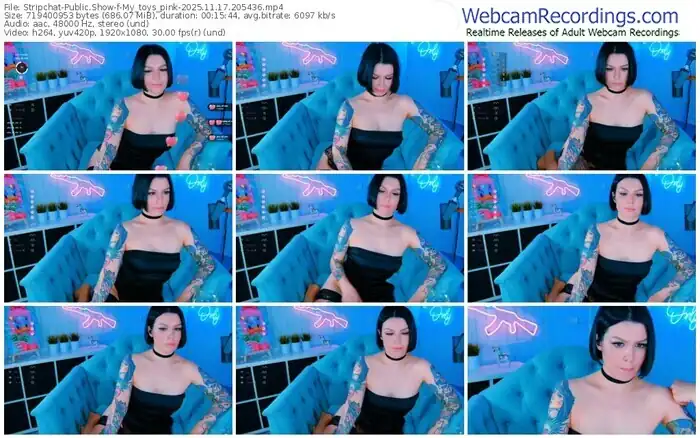 stripchat-my_toys_pink-11-17-2025-20-54-36