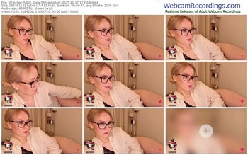 stripchat-myassistant-11-17-2025-17-35-14