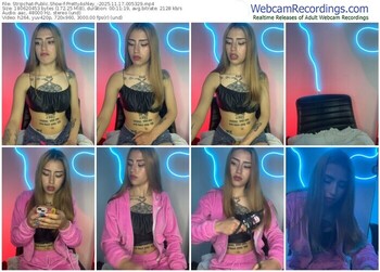 stripchat-prettyashley_-11-17-2025-00-53-29