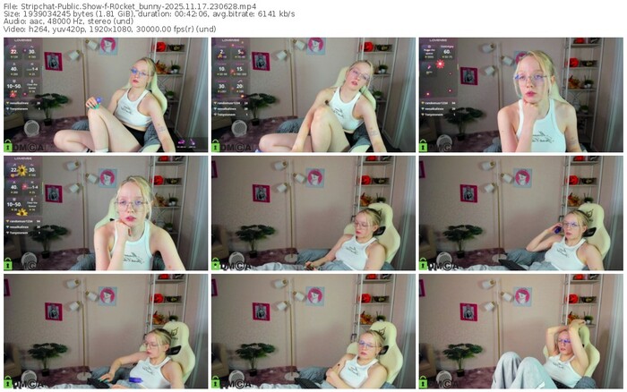 stripchat-r0cket_bunny-11-17-2025-23-06-28