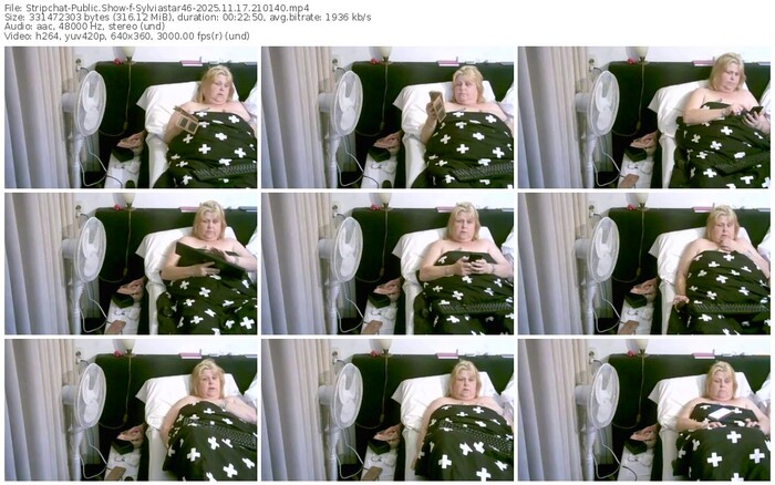 stripchat-sylviastar46-11-17-2025-21-01-40