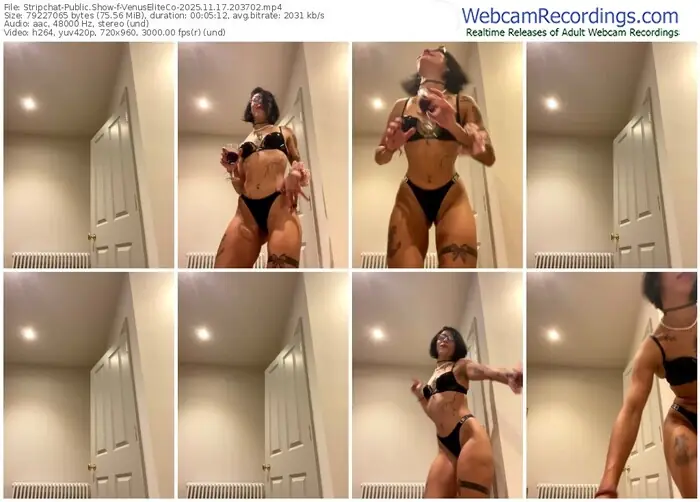 stripchat-venuseliteco-11-17-2025-20-37-02