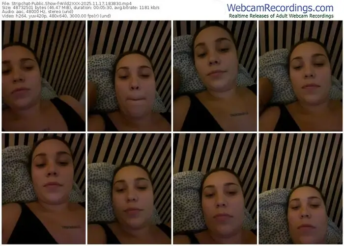 stripchat-wild2xxx-11-17-2025-18-38-30