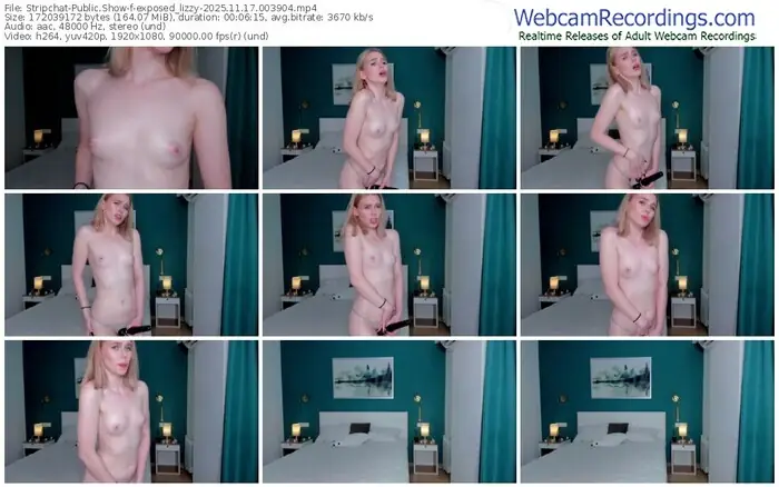 stripchat-exposed_lizzy-11-17-2025-00-39-04