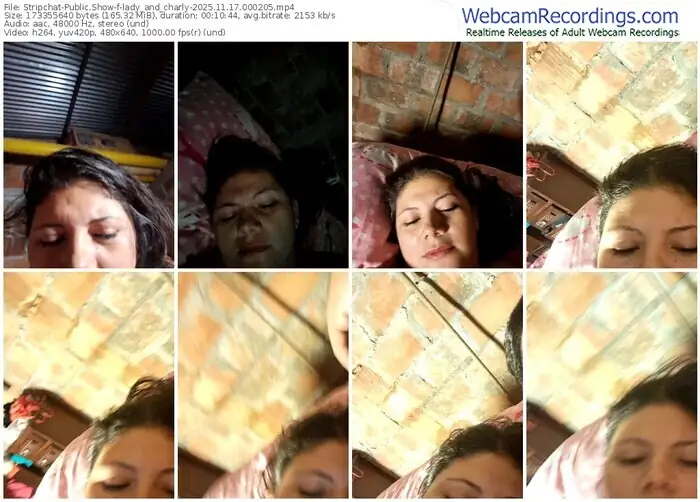 stripchat-lady_and_charly-11-17-2025-00-02-05