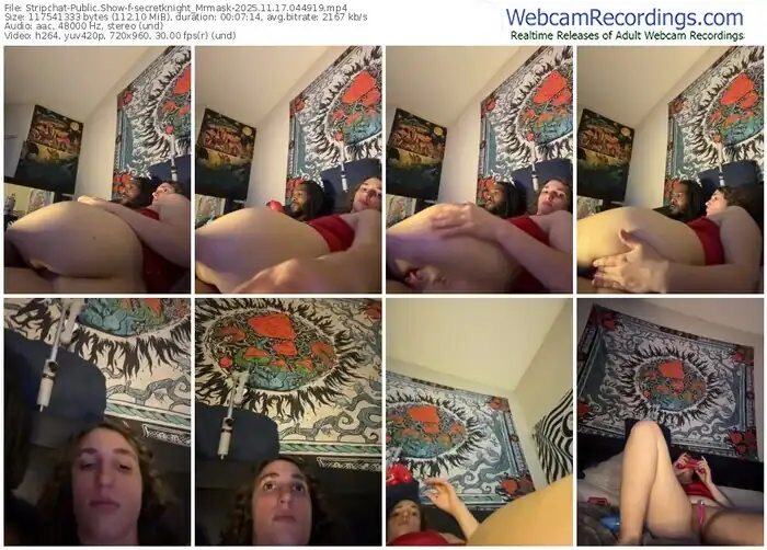 stripchat-secretknight_mrmask-11-17-2025-04-49-19