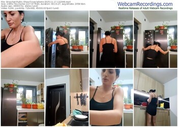 stripchat-zoeylarkens-11-17-2025-13-20-48