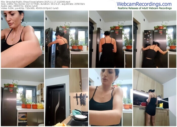 stripchat-zoeylarkens-11-17-2025-13-20-48