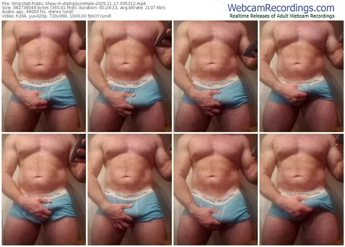 stripchat-alphagymmale-11-17-2025-00-53-12