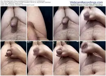 stripchat-andrew150394-11-17-2025-18-48-28