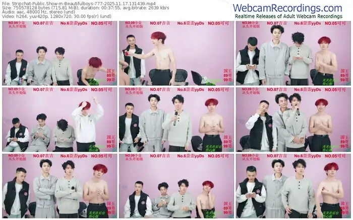 stripchat-beautifulboys-777-11-17-2025-13-14-39