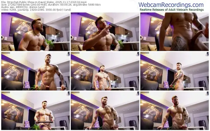 stripchat-david_blake_-11-17-2025-03-21-32