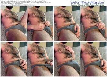 stripchat-deckard_webb1_-11-17-2025-13-21-29