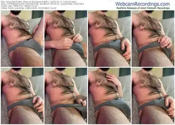 stripchat-deckard_webb1_-11-17-2025-13-21-29