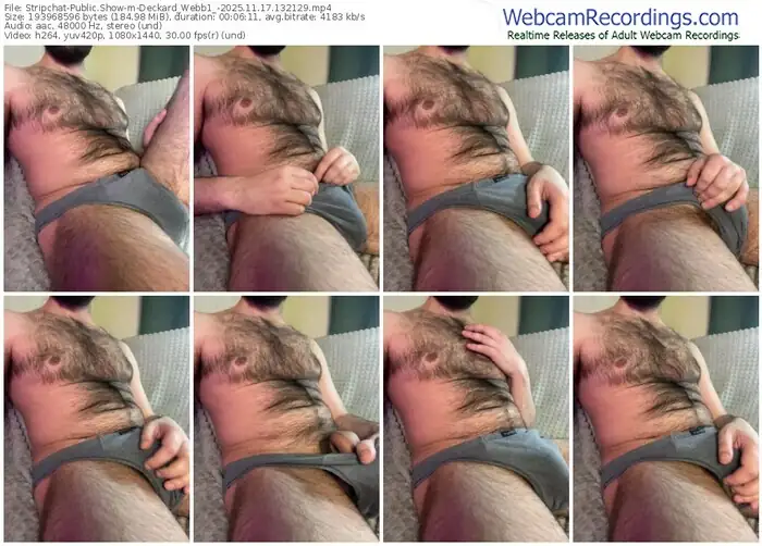 stripchat-deckard_webb1_-11-17-2025-13-21-29