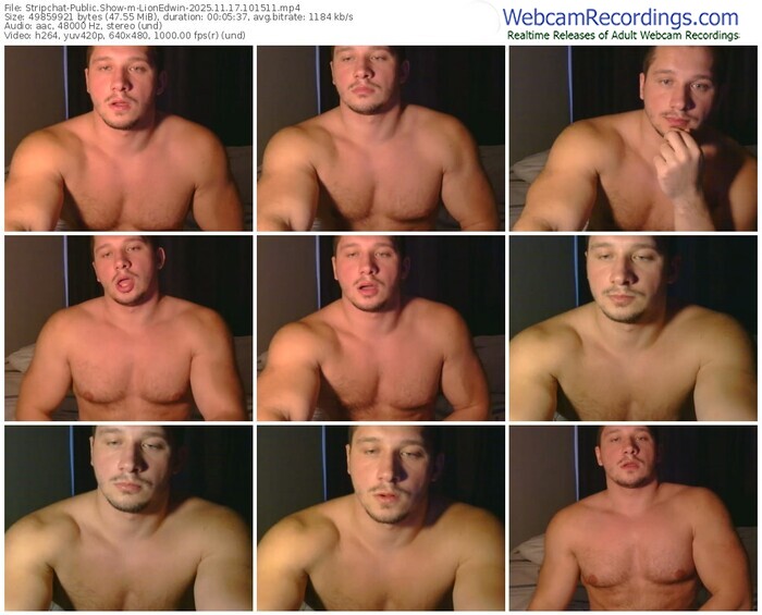 stripchat-lionedwin-11-17-2025-10-15-11