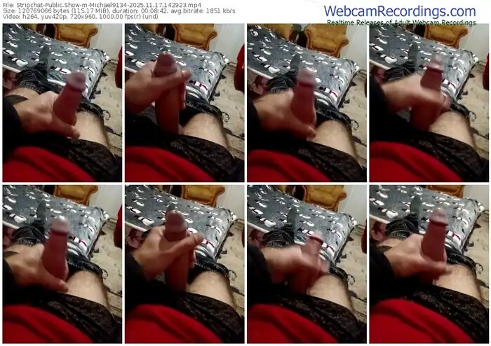 stripchat-michael9134-11-17-2025-14-29-23