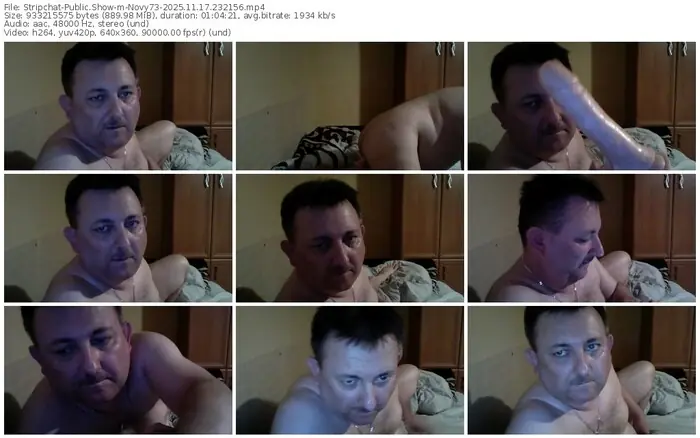 stripchat-novy73-11-17-2025-23-21-56