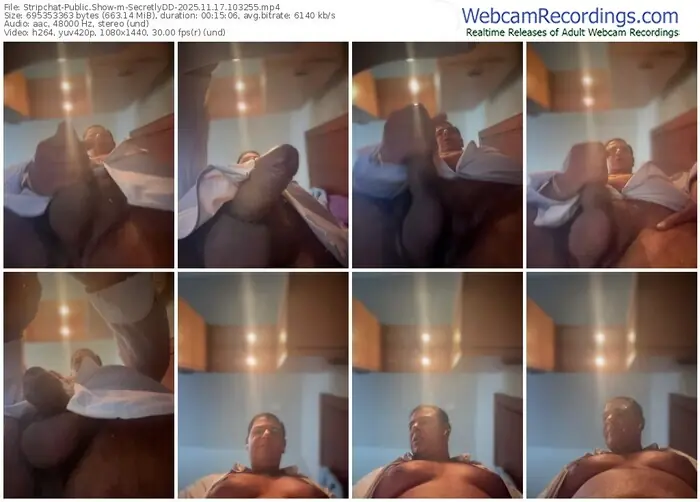 stripchat-secretlydd-11-17-2025-10-32-55