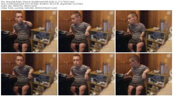 stripchat-smalldream666-11-17-2025-17-55-37