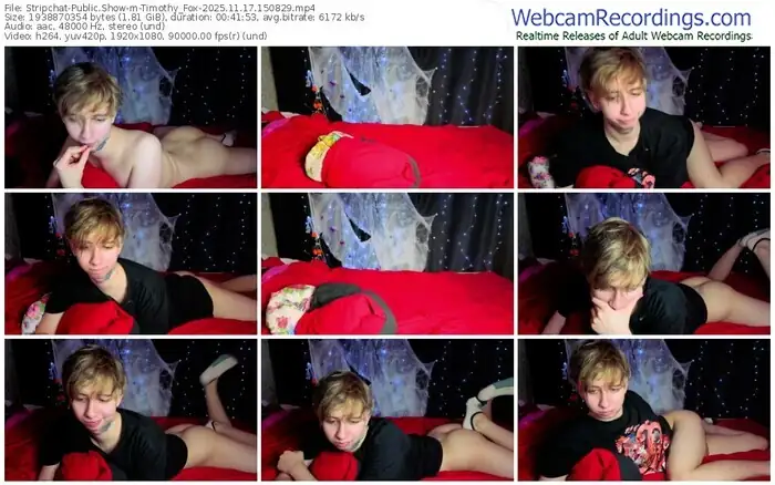 stripchat-timothy_fox-11-17-2025-15-08-29