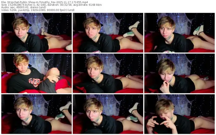 stripchat-timothy_fox-11-17-2025-17-16-55