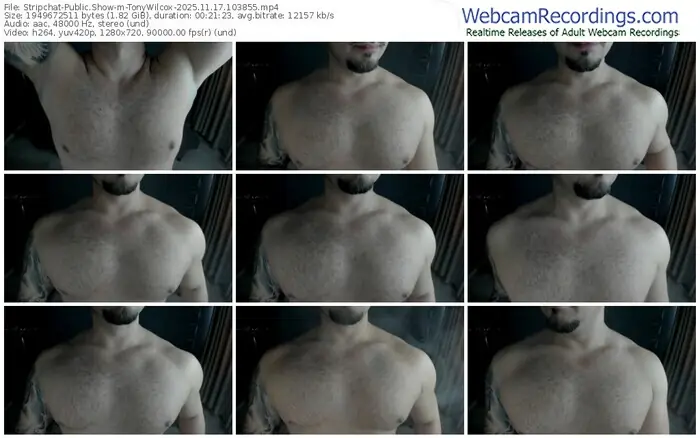stripchat-tonywilcox-11-17-2025-10-38-55